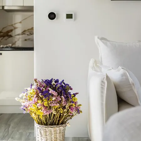 펜션 Nefeli & Mykonos